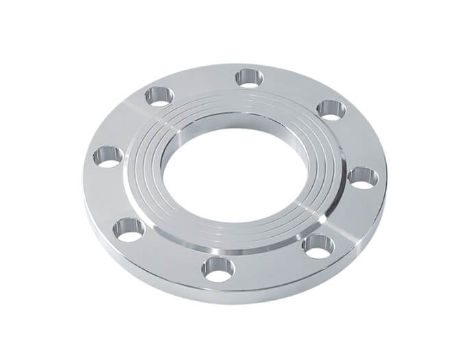 SS Flanges
