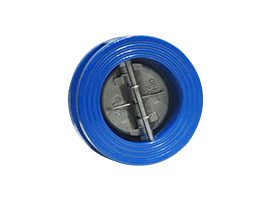 Check Valves in Water Systems