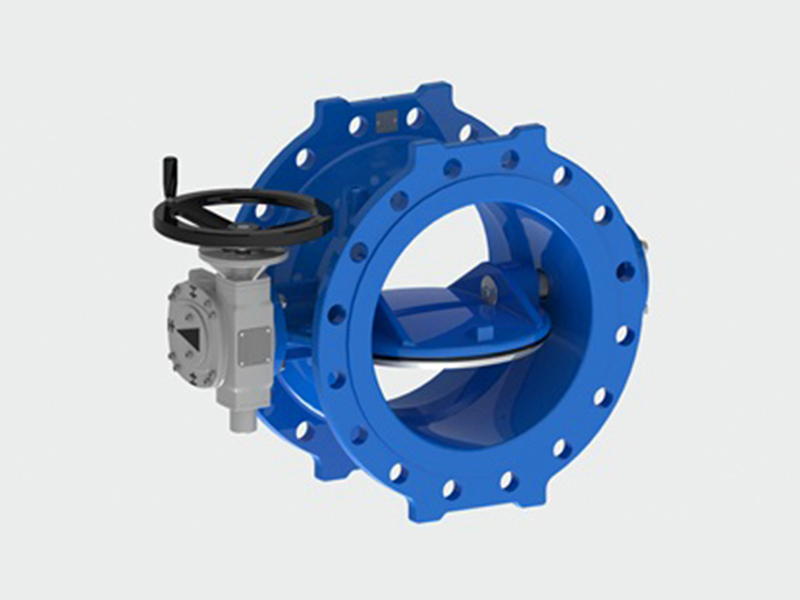 Double eccentric butterfly valve1