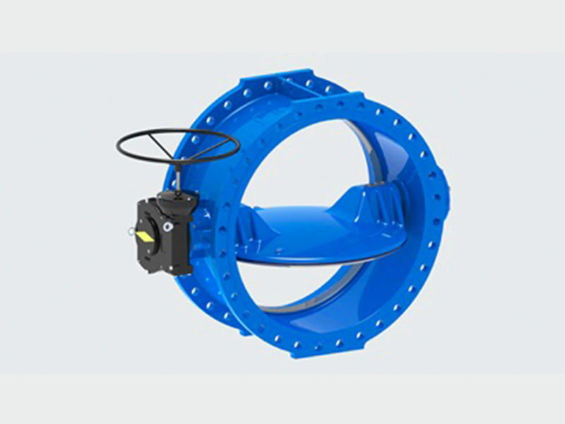Double eccentric butterfly valve1