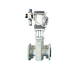 Pneumatic Pinch Valve