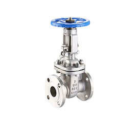 Stainless Steel Gate Valve