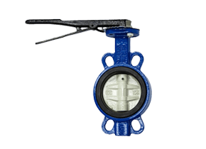 butterfly valve