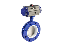 butterfly valve