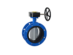 butterfly valve