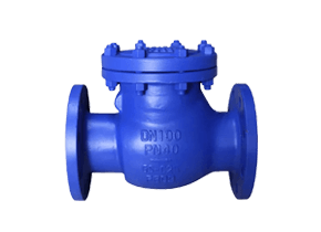 check valve