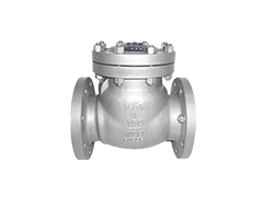 check valve