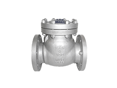 check valve