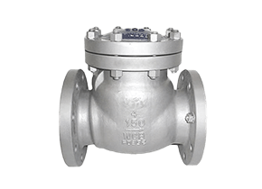 check valve