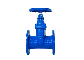 gate valve