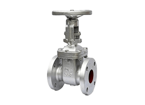 gate valve