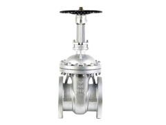 gate valve