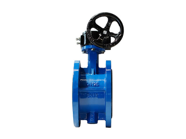 Flange butterfly valve