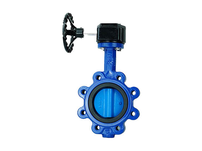 Lug butterfly valve