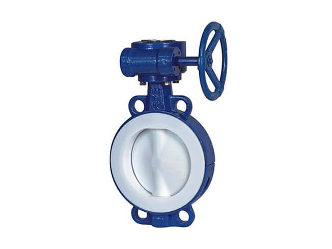 Wafer butterfly valve