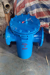 Basket Type Strainer