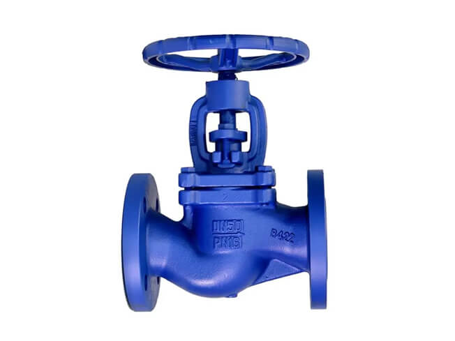 Bellows Globe Valve