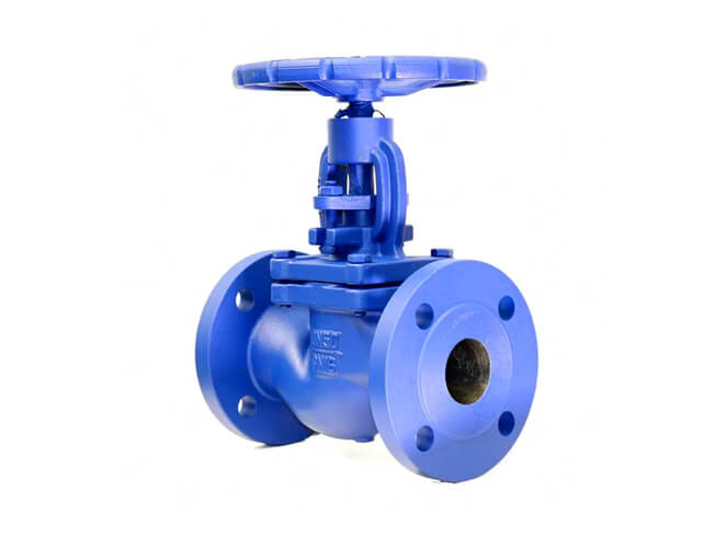 Bellows Globe Valve