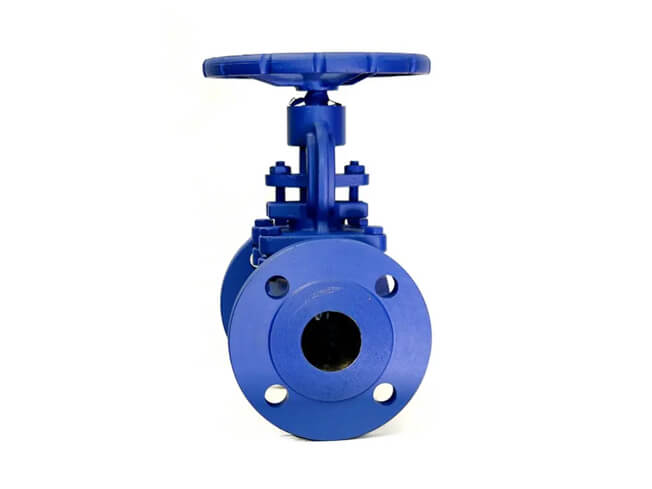 Bellows Globe Valve