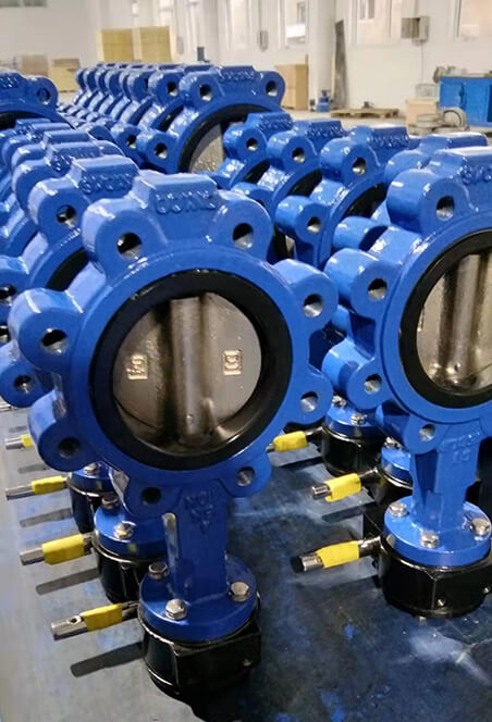 butterfly valve lug type