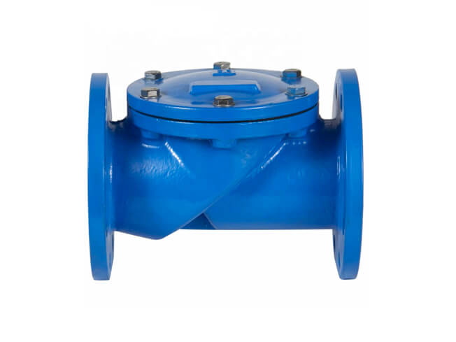 Rubber Seal Check Valve