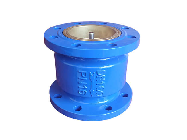 Silent Check Valve