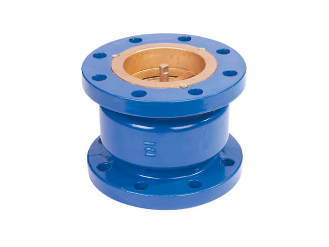 Silent Check Valve