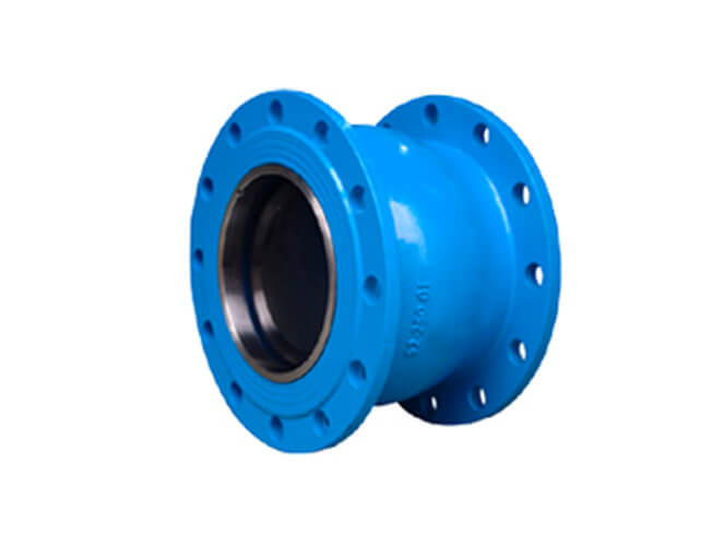 Silent Check Valve