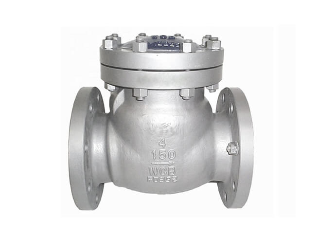 Stainless Steel Check Valve