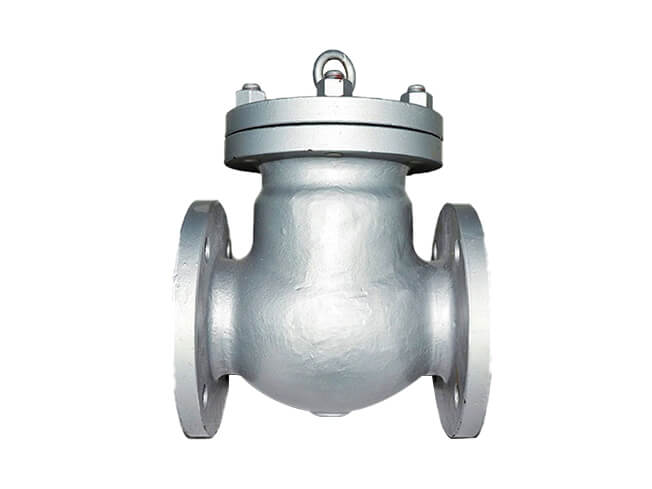 Stainless Steel Check Valve