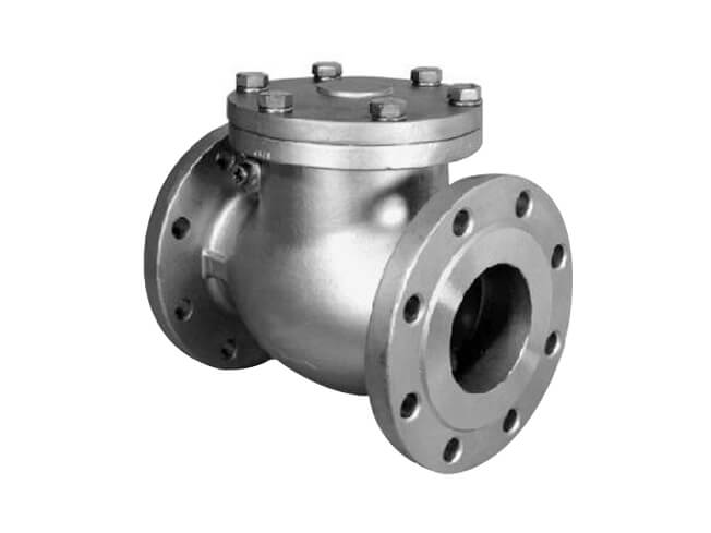 Stainless Steel Check Valve