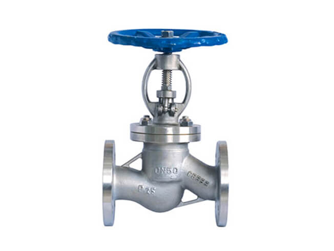 Stainless steel globe valve