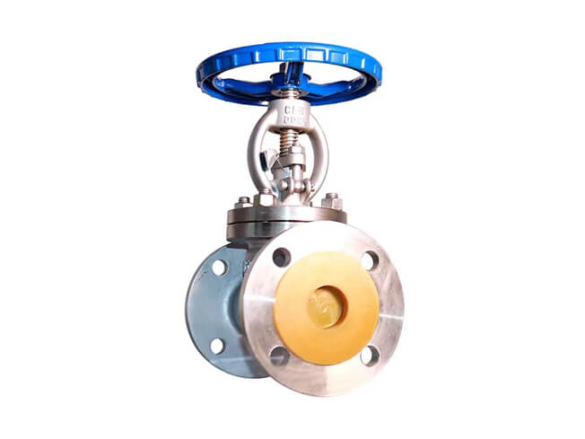 Stainless steel globe valve