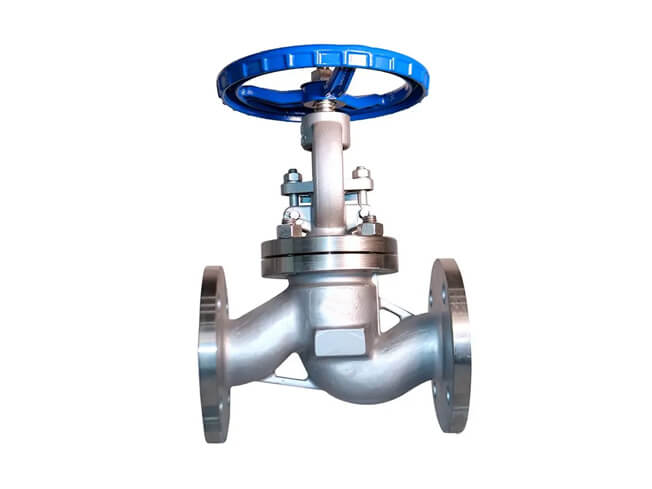 Stainless steel globe valve