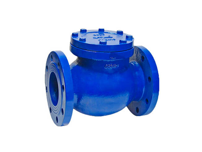 BS swing check valve