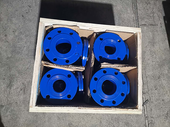 BS swing check valve