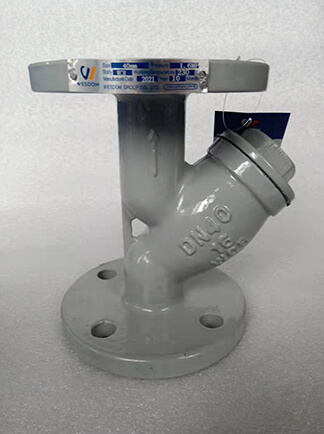 Y Type Strainer