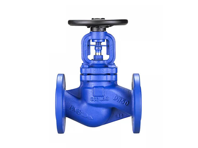 WCB globe valve