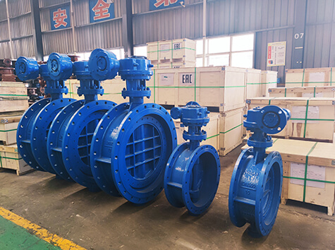 Double eccentric butterfly valve