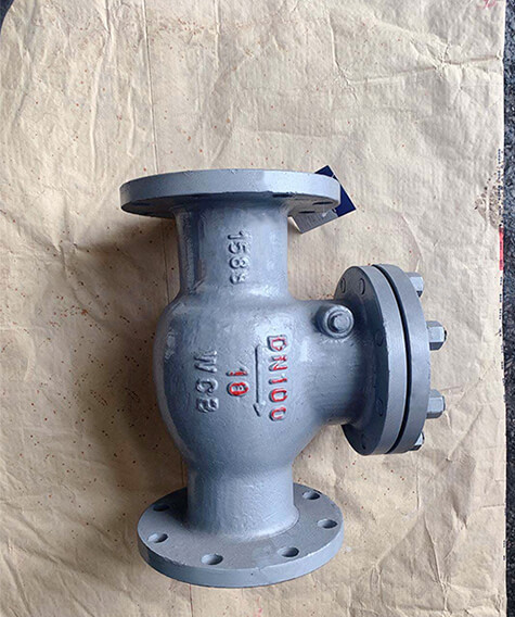 Check Valve