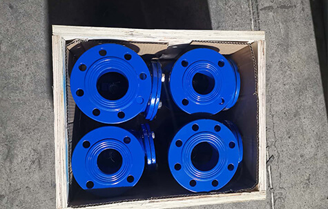 Rubber Seal Check Valve