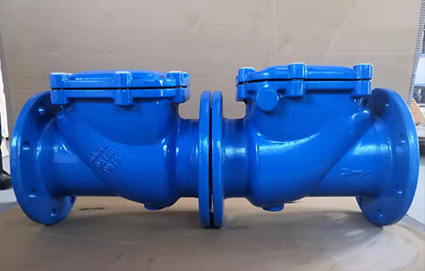 Rubber Seal Check Valve