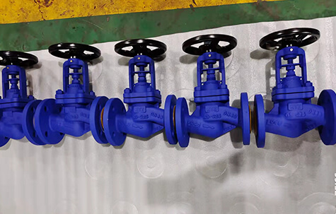 Bellows Globe Valve