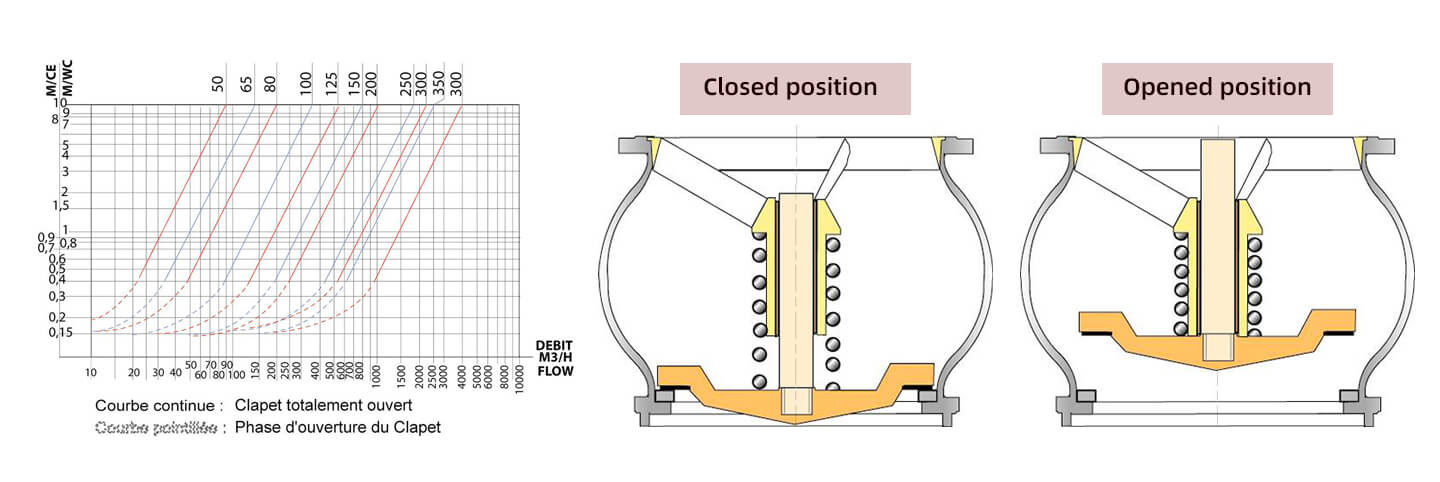 foot check valve