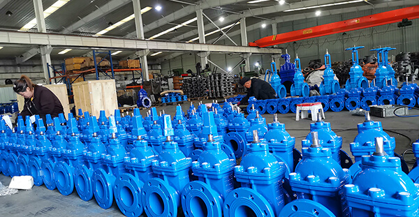 flexible gate valve