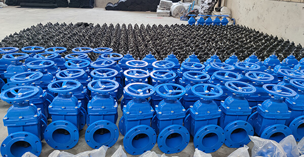 flexible gate valve