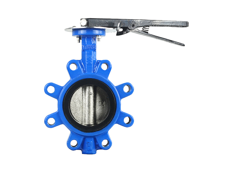 lug butterfly valve