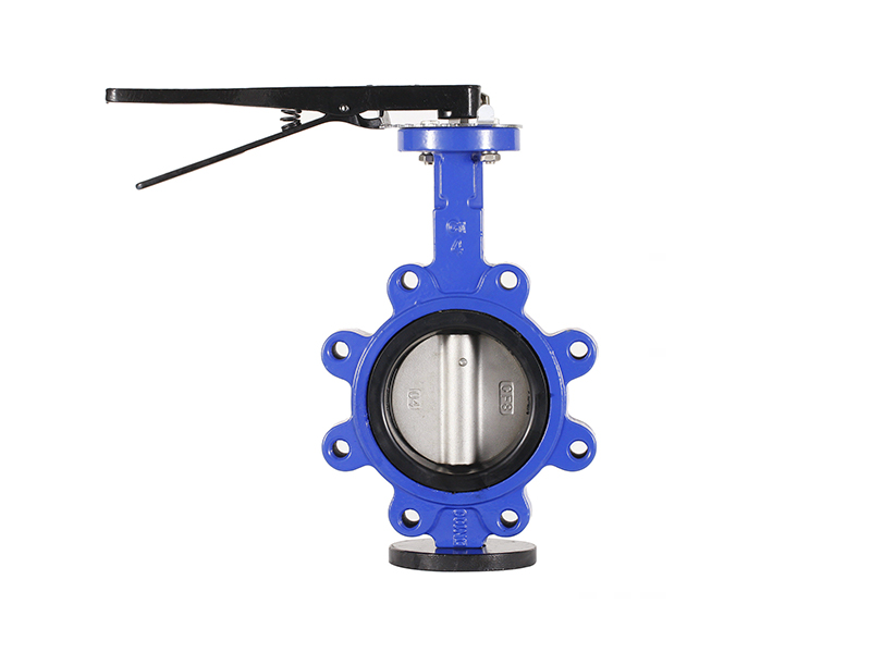 lug butterfly valve