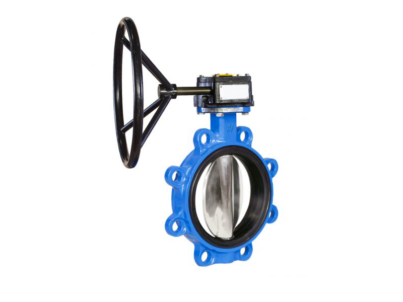 lug butterfly valve