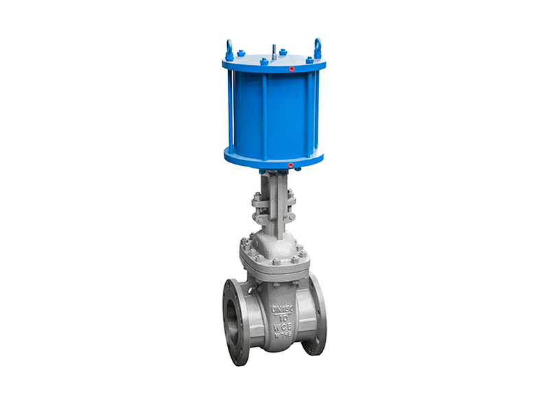 pneumatic gate valve